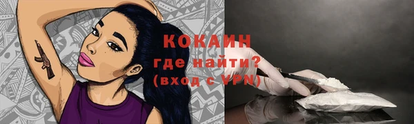 крисы Богородицк