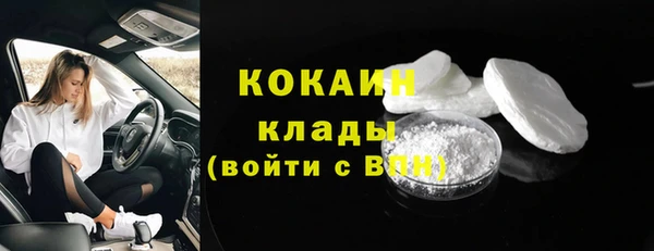 крисы Богородицк