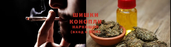 крисы Богородицк