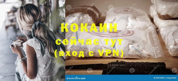 крисы Богородицк