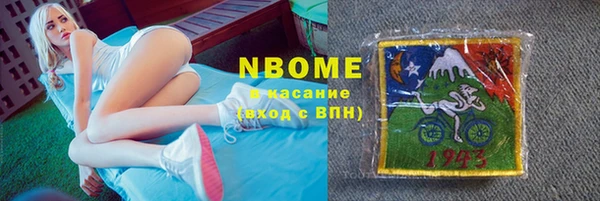 крисы Богородицк