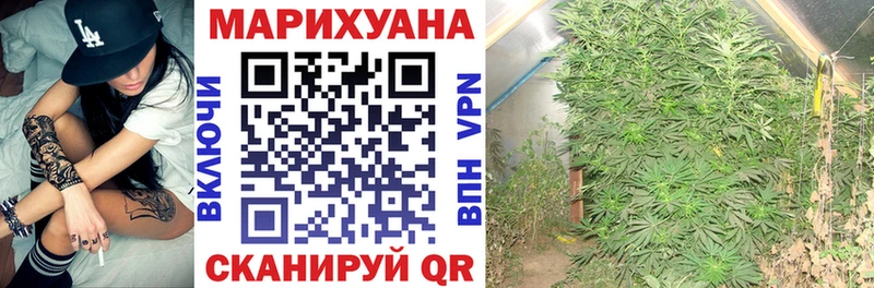 Конопля план  Купить  Осташков 